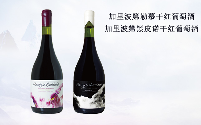 加里波第勒慕干紅葡萄酒 加里波第勒慕干紅葡萄酒