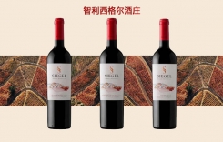 SIEGEL西格爾酒莊赤霞珠佳美娜干紅葡萄酒價格