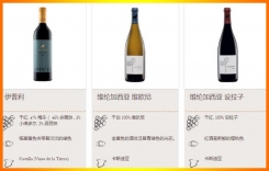 維綸加西亞谷紅葡萄酒-維綸加西亞酒莊-Vallegarcía官網