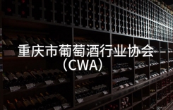 喝紅酒的杯子叫什么名字 喝紅酒的杯子叫什么杯