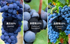 重慶比較好的賣紅酒的地方是哪-風(fēng)土影響葡萄酒