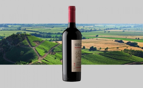 寧夏產區的紅酒在重慶受到歡迎 重慶推紅寺堡紅酒