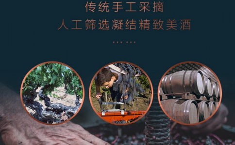 中國最佳葡萄酒旅游產區-寧夏賀蘭山東麓葡萄酒產區